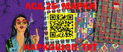 СК Кандалакша