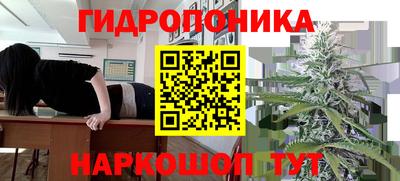МДМА Камышлов