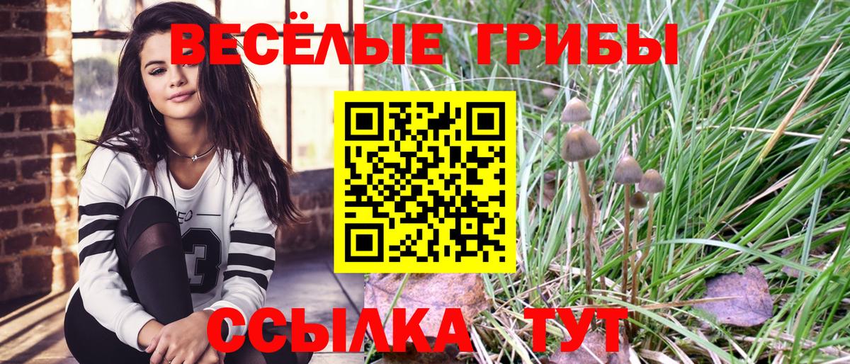 Галлюциногенные грибы GOLDEN TEACHER  Вход с VPN  Аксай 